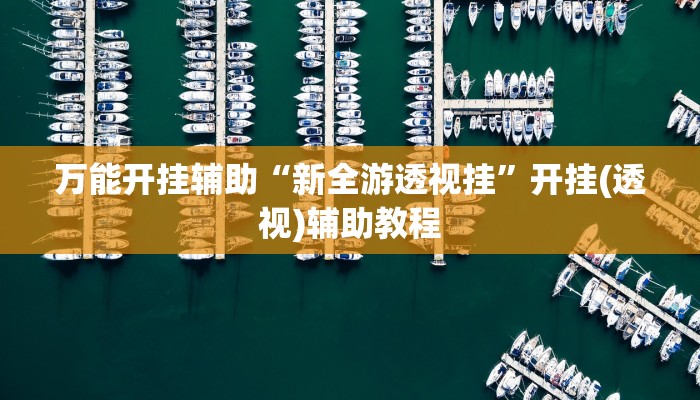 必看教程“微信小程序家乡大贰透视”开挂辅助详细步骤 必看教程“微信小程序家乡大贰透视”开挂辅助详细步骤