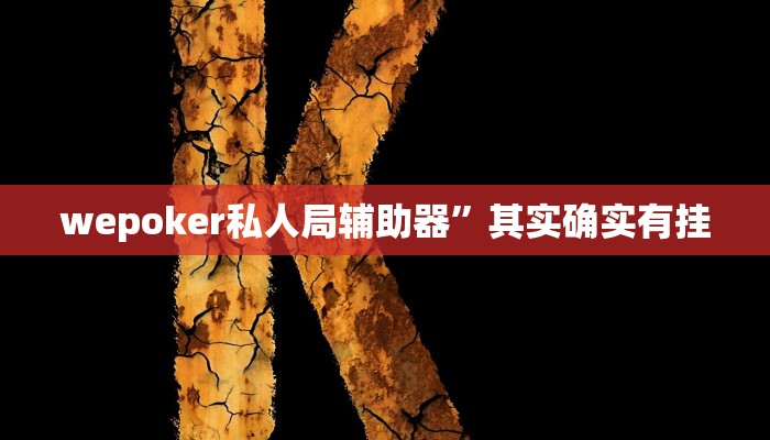 教程辅助“老铁联盟辅助”(详细开挂教程)