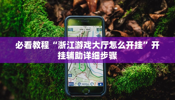 教程辅助“杭州都莱开挂神器”其实确实有挂 教程辅助“杭州都莱开挂神器”其实确实有挂