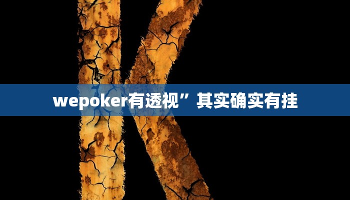 必看教程“德州wepoker作弊透视开挂辅助挂”(详细开挂教程)
