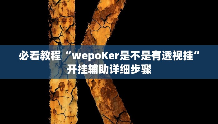 必看教程“wepoker作弊透视脚本”开挂辅助详细步骤