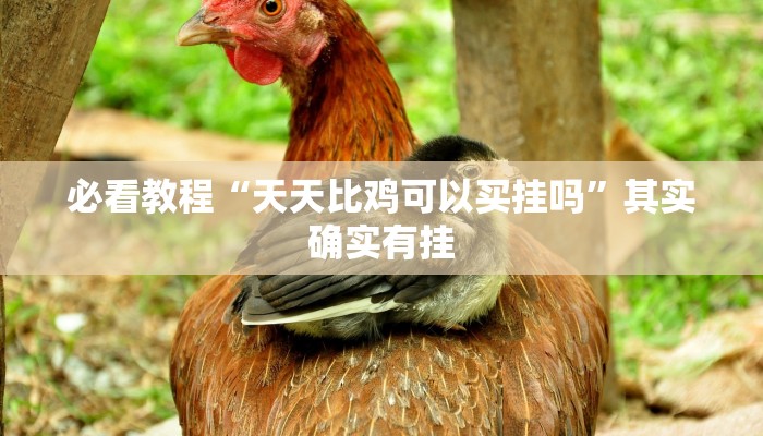 必看教程“天天比鸡可以买挂吗”其实确实有挂 必看教程“天天比鸡可以买挂吗”其实确实有挂