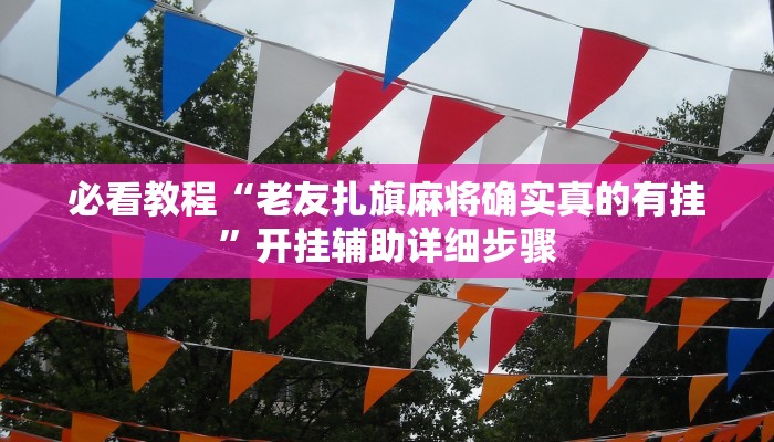 实测教程”心悦填大坑挂先试用后付款”2025开挂教程步骤