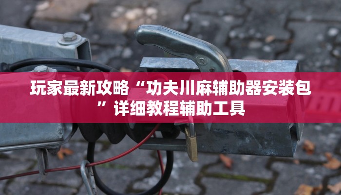 玩家最新攻略“功夫川麻辅助器安装包”详细教程辅助工具