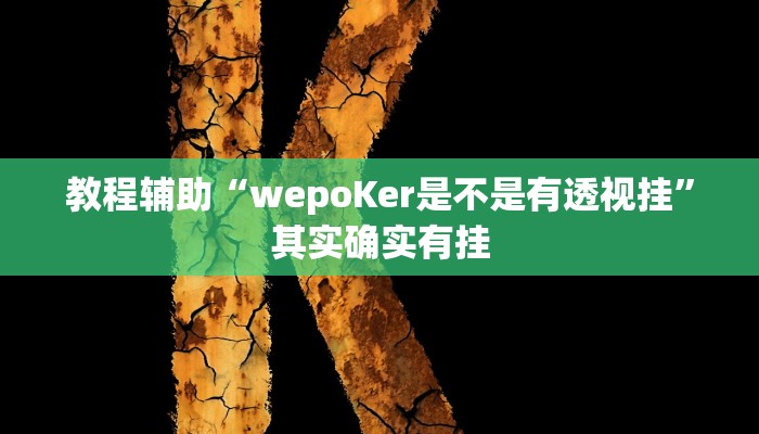 教程辅助“wepoKer是不是有透视挂”其实确实有挂 教程辅助“wepoKer是不是有透视挂”其实确实有挂