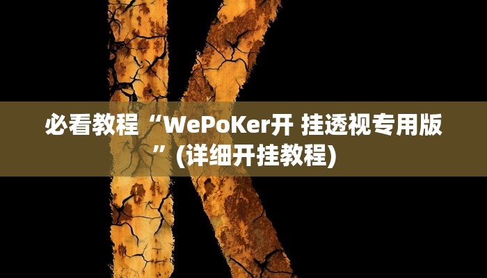 必看教程“WePoKer开 挂透视专用版”(详细开挂教程)