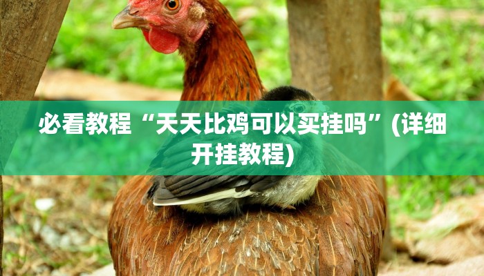 辅助神器“镇雄关春天开挂一神器”分享用挂教程 辅助神器“镇雄关春天开挂一神器”分享用挂教程