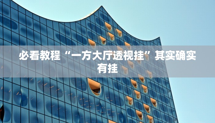 必看教程“一方大厅透视挂”其实确实有挂