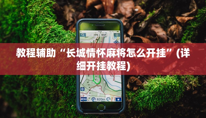 教程辅助“长城情怀麻将怎么开挂”(详细开挂教程)